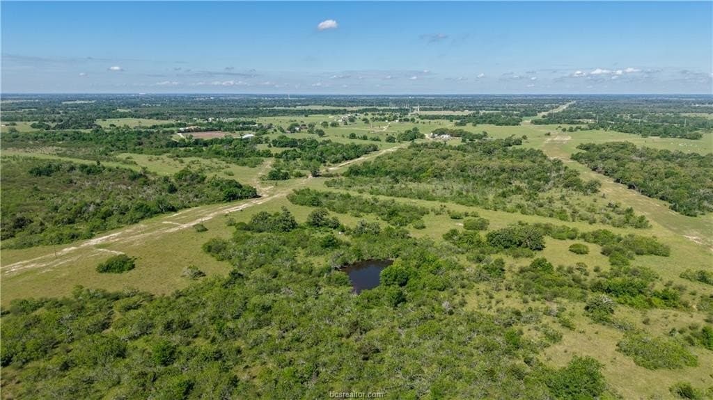 162.62 acres in Brazos County - photo 14