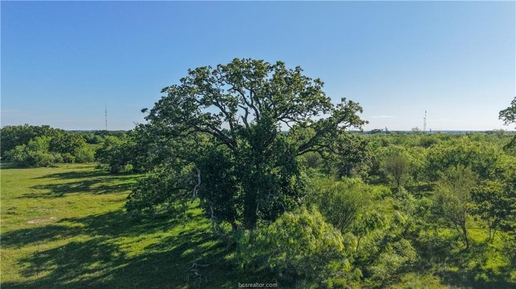 162.62 acres in Brazos County - photo 31