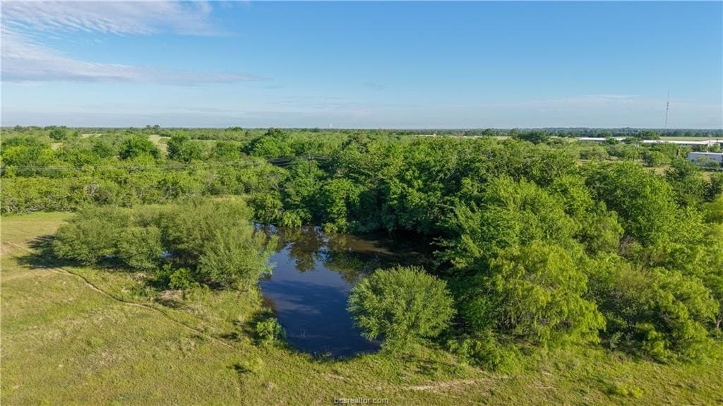 162.62 acres in Brazos County - photo 12