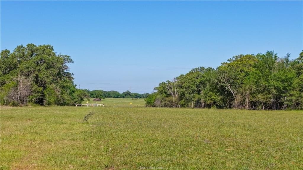 162.62 acres in Brazos County - photo 18