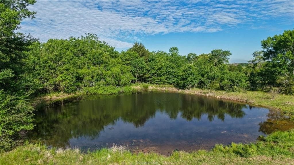 162.62 acres in Brazos County - photo 22