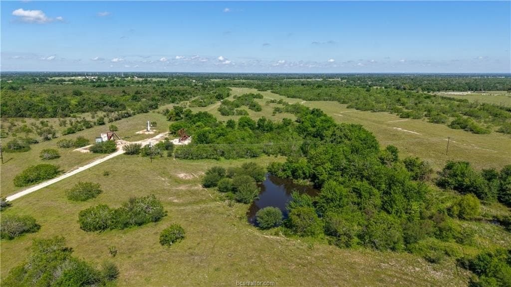 162.62 acres in Brazos County - photo 15