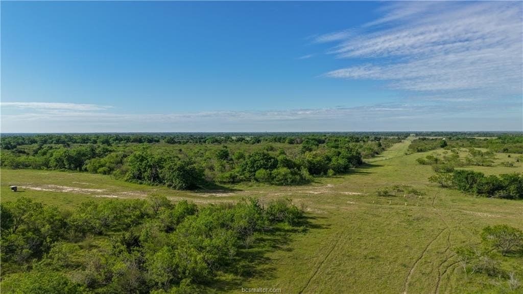 162.62 acres in Brazos County - photo 13