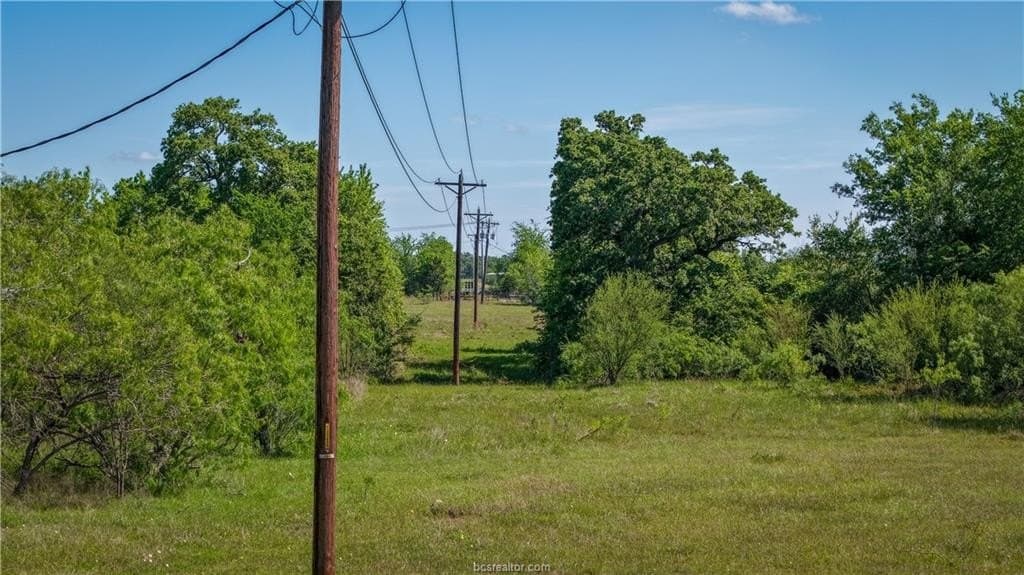 162.62 acres in Brazos County - photo 9