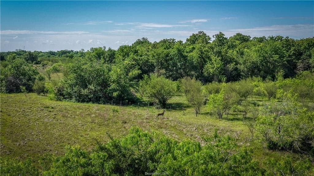 162.62 acres in Brazos County - photo 16