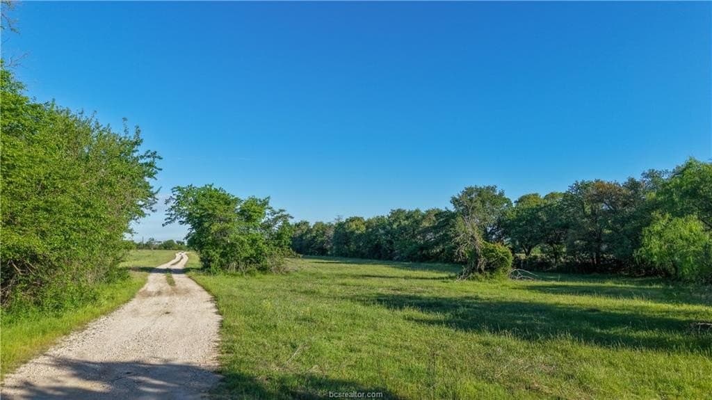 162.62 acres in Brazos County - photo 11