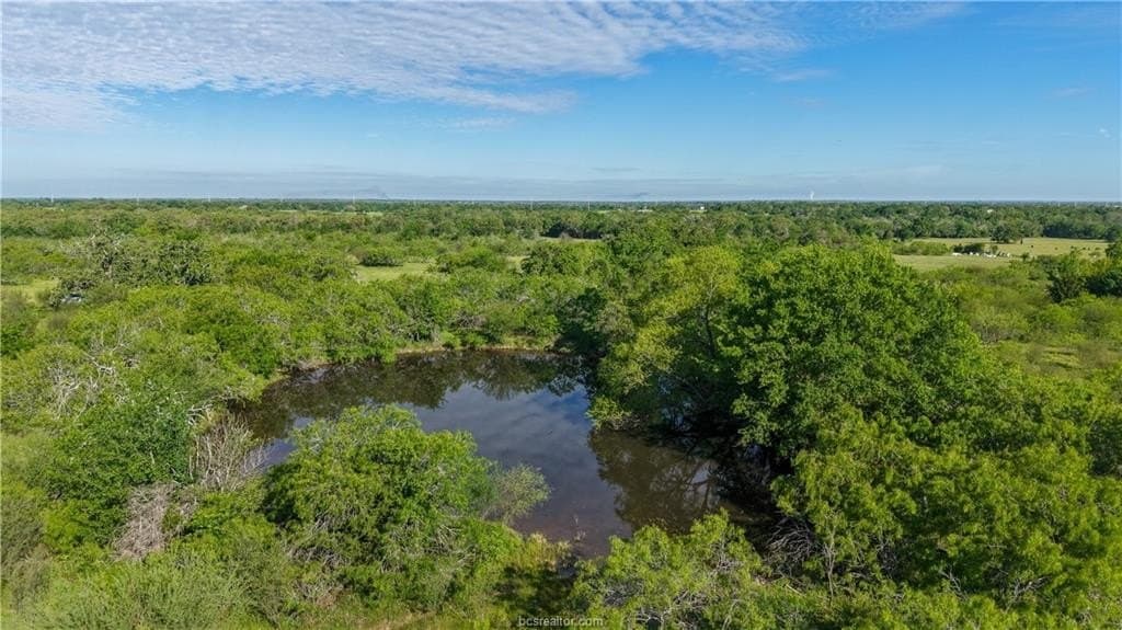 162.62 acres in Brazos County - photo 6
