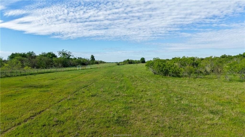 162.62 acres in Brazos County - photo 21