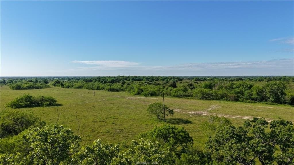 162.62 acres in Brazos County - photo 24