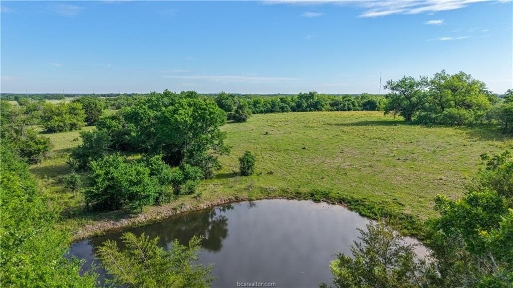 162.62 acres in Brazos County - photo 20