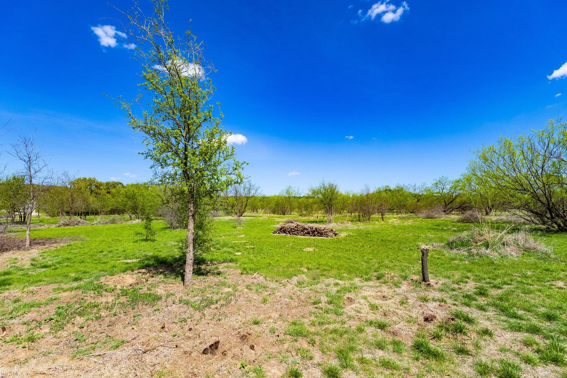 2.01 acres in Palo Pinto County - photo 10