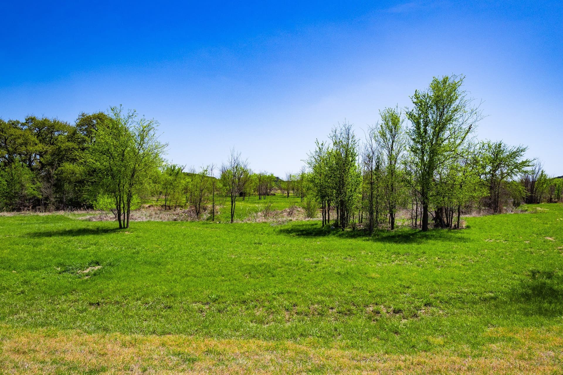 2.01 acres in Palo Pinto County gallery image 4