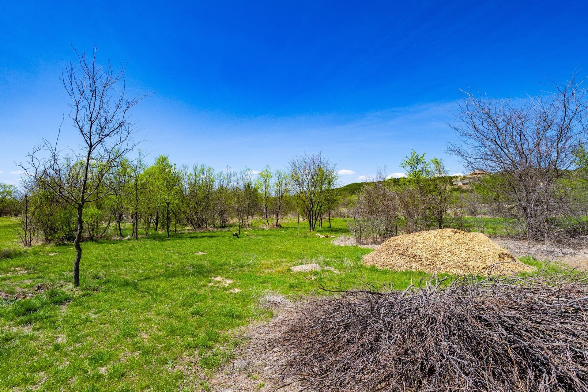 2.01 acres in Palo Pinto County - photo 9