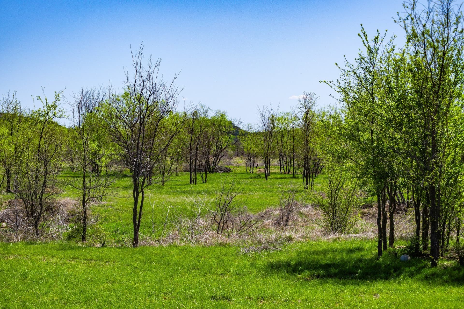 2.01 acres in Palo Pinto County gallery image 2
