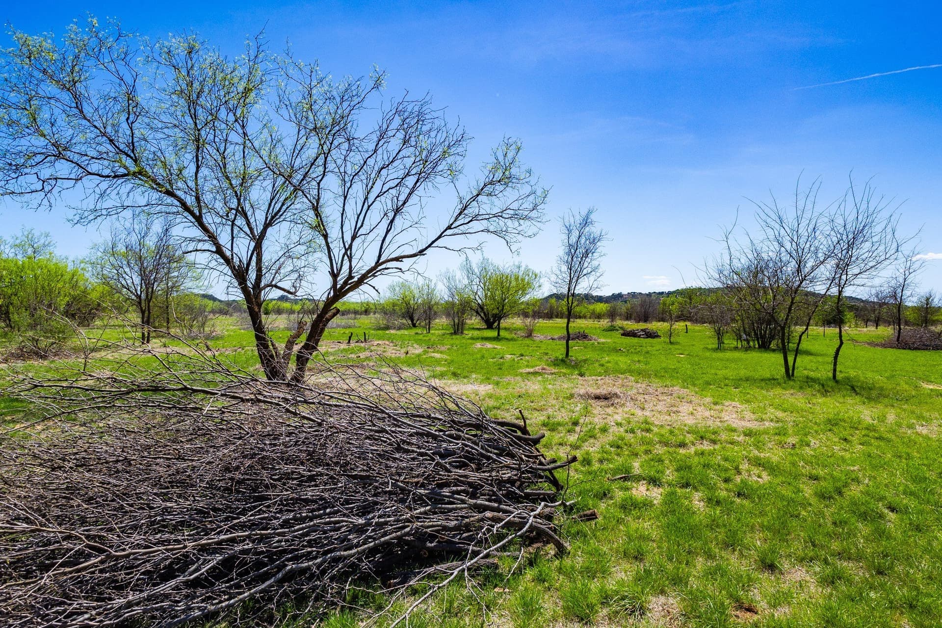 2.01 acres in Palo Pinto County - photo 7