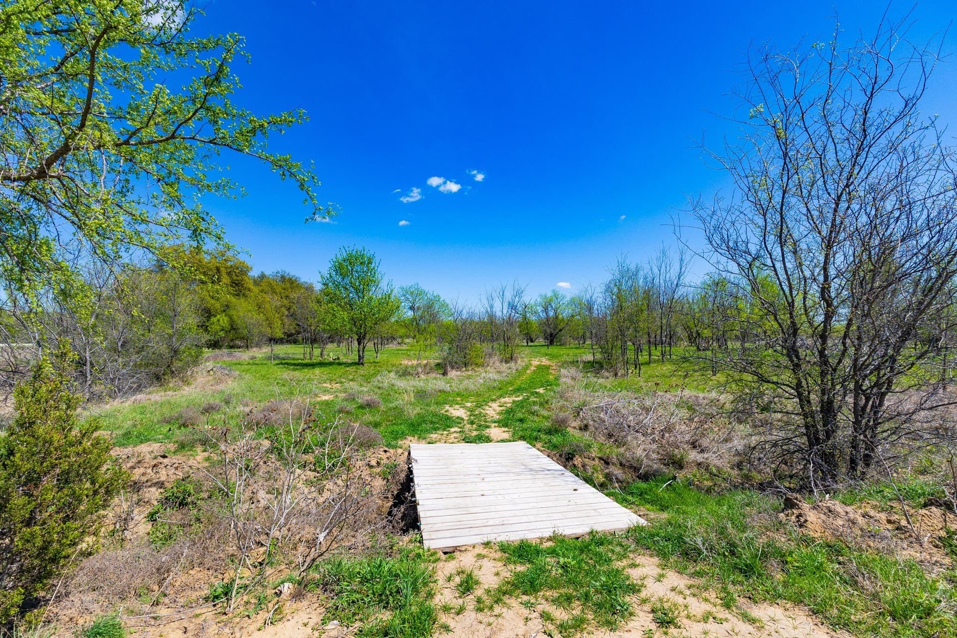 2.01 acres in Palo Pinto County - photo 16