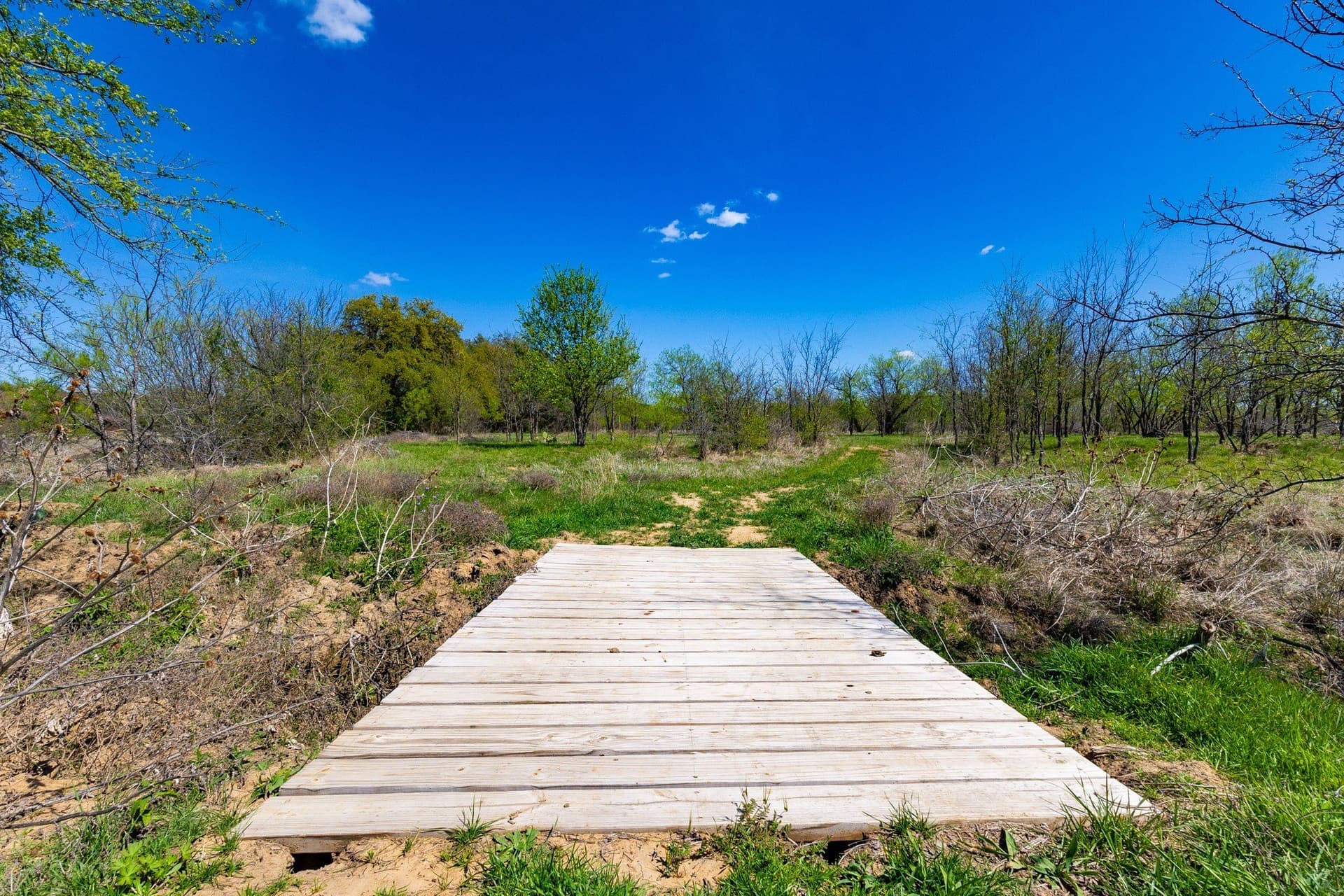 2.01 acres in Palo Pinto County gallery image 3