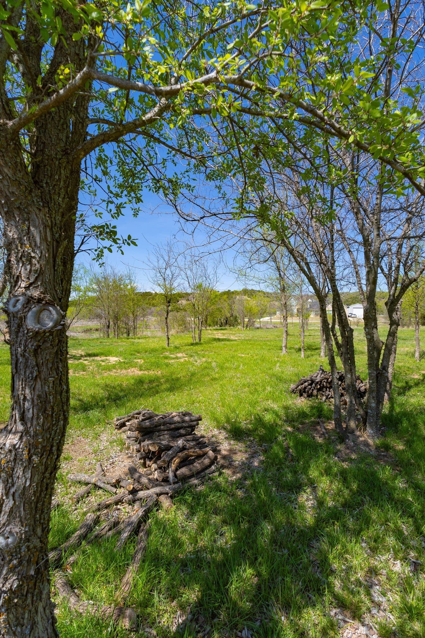 2.01 acres in Palo Pinto County - photo 15