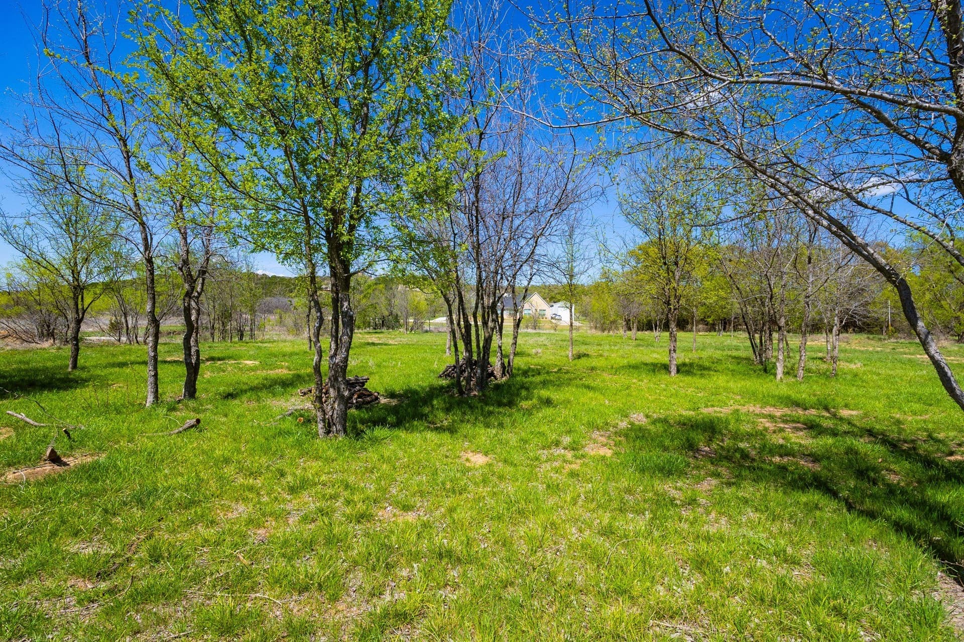 2.01 acres in Palo Pinto County - photo 14