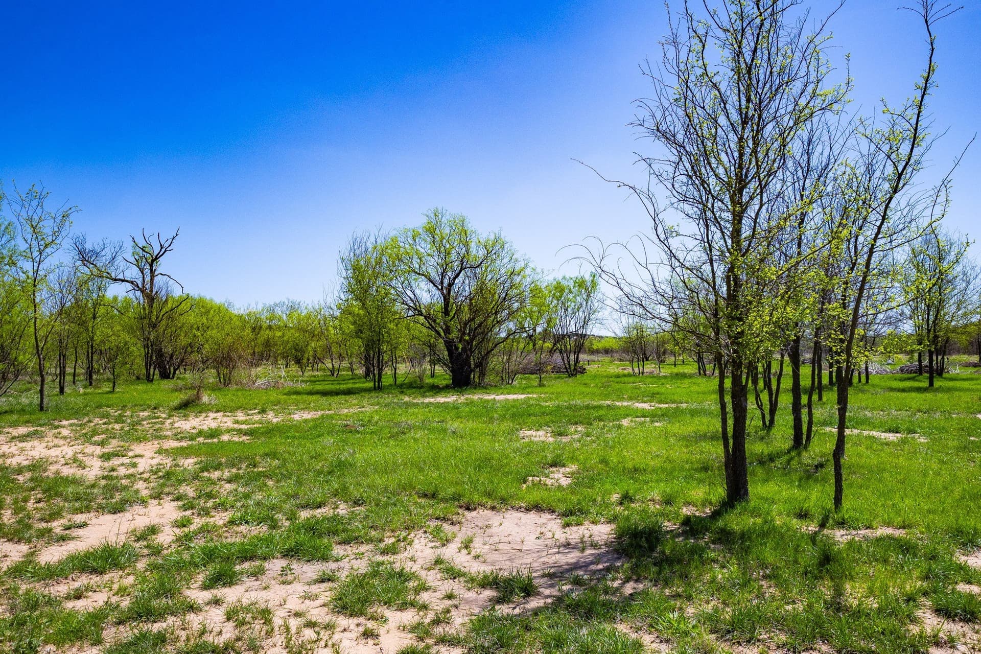 2.01 acres in Palo Pinto County featured view