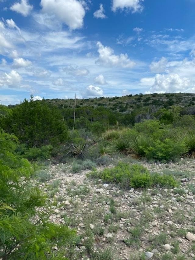 489.73 acres in Kinney County - photo 13
