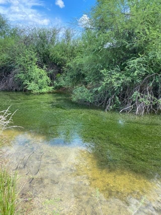 489.73 acres in Kinney County - photo 17