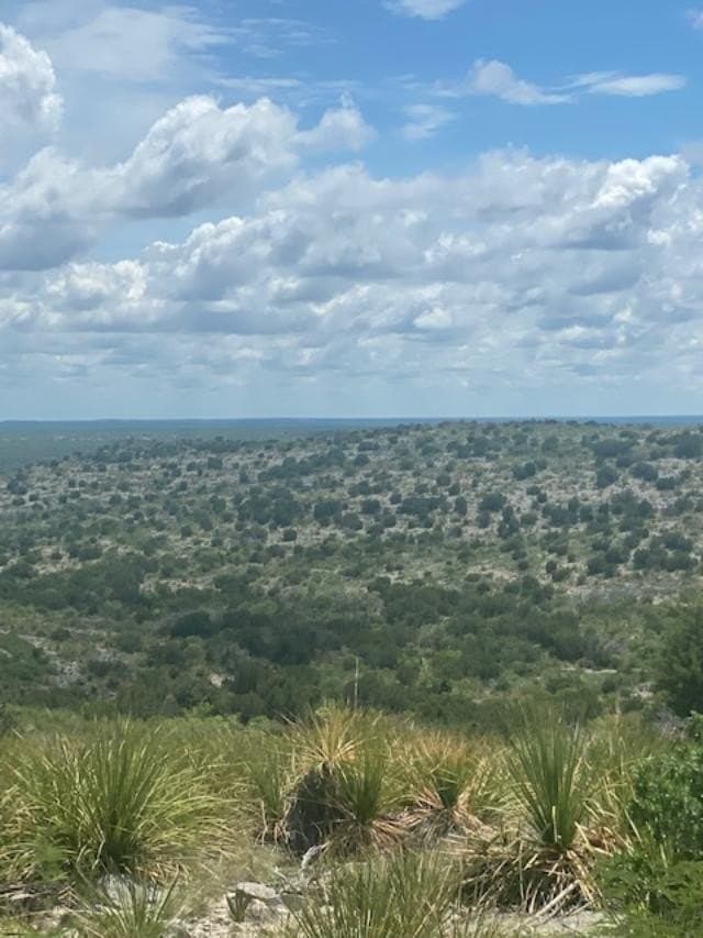 489.73 acres in Kinney County - photo 9