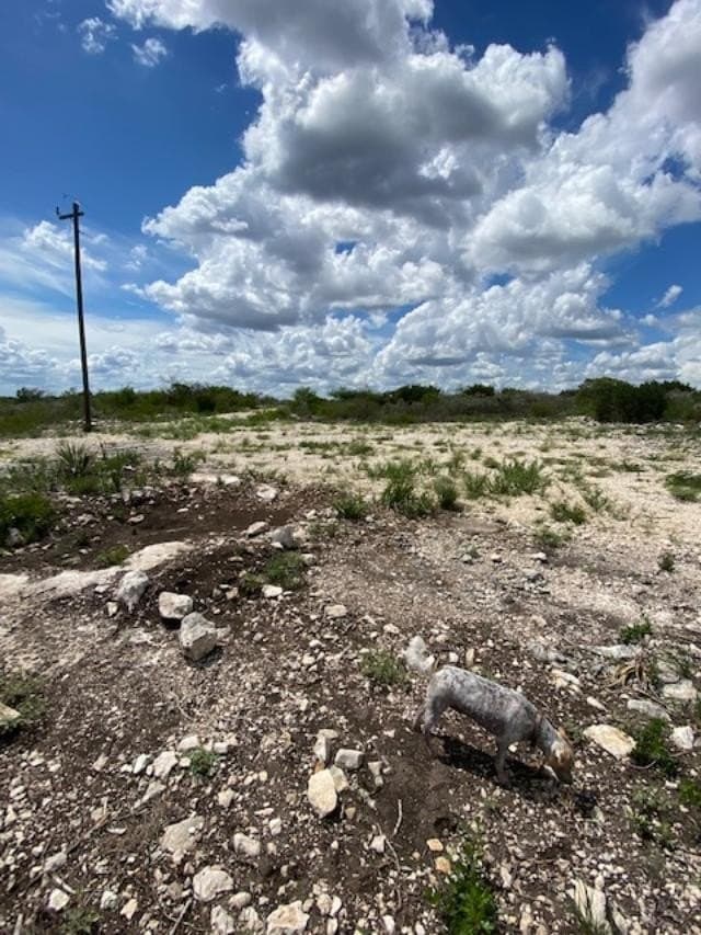 489.73 acres in Kinney County - photo 25