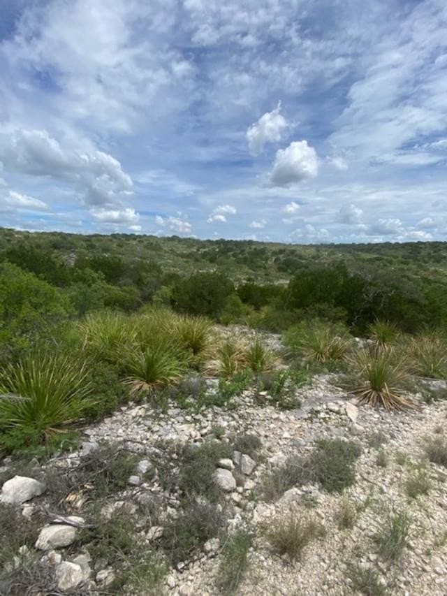 489.73 acres in Kinney County gallery image 3