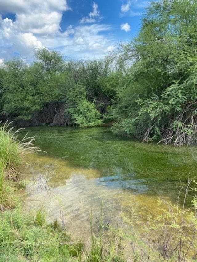 489.73 acres in Kinney County - photo 15