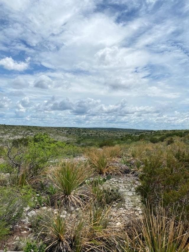 489.73 acres in Kinney County gallery image 4