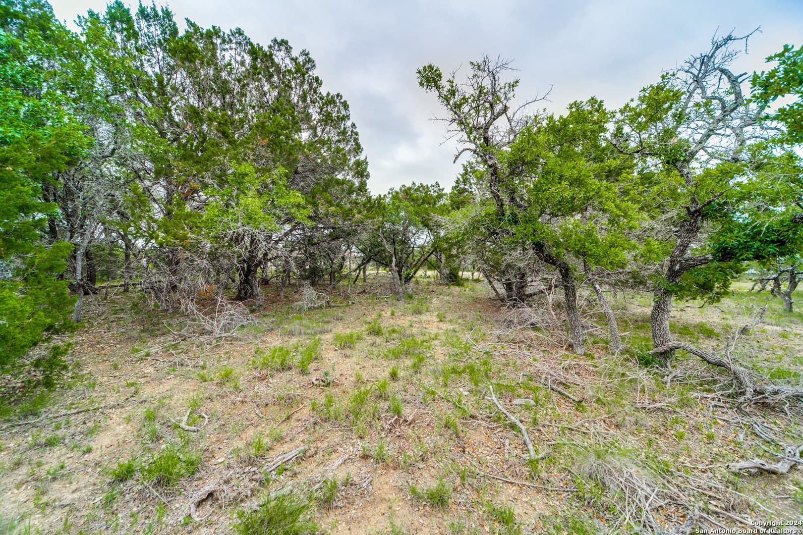 1.04 acres in Comal County - photo 9