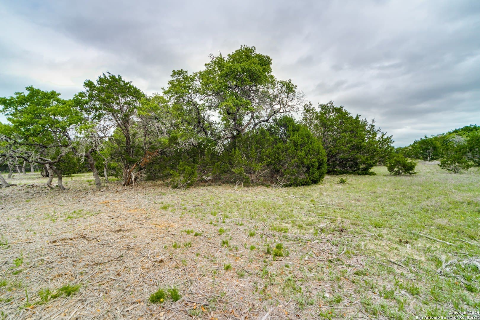 1.04 acres in Comal County gallery image 3