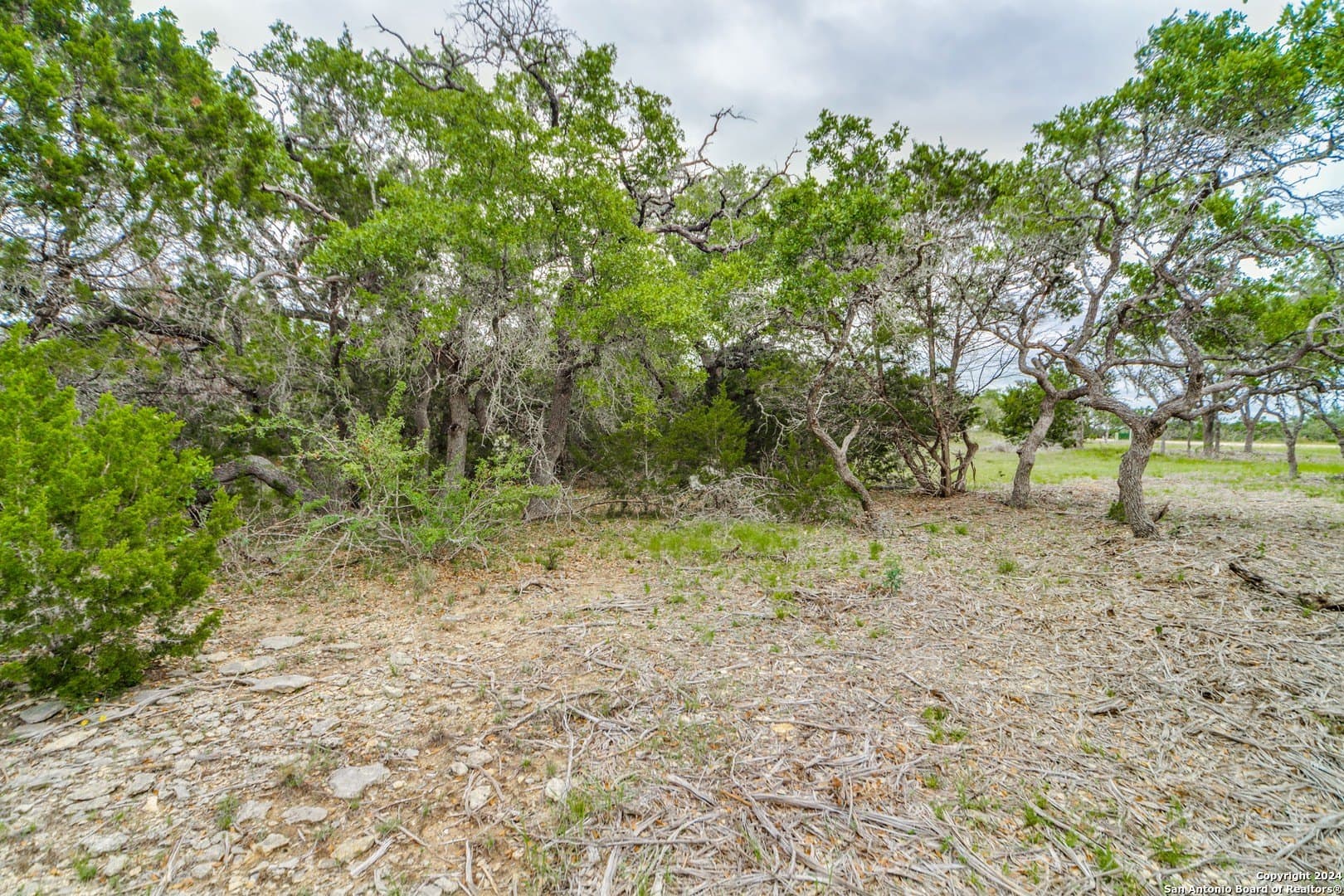 1.04 acres in Comal County gallery image 4