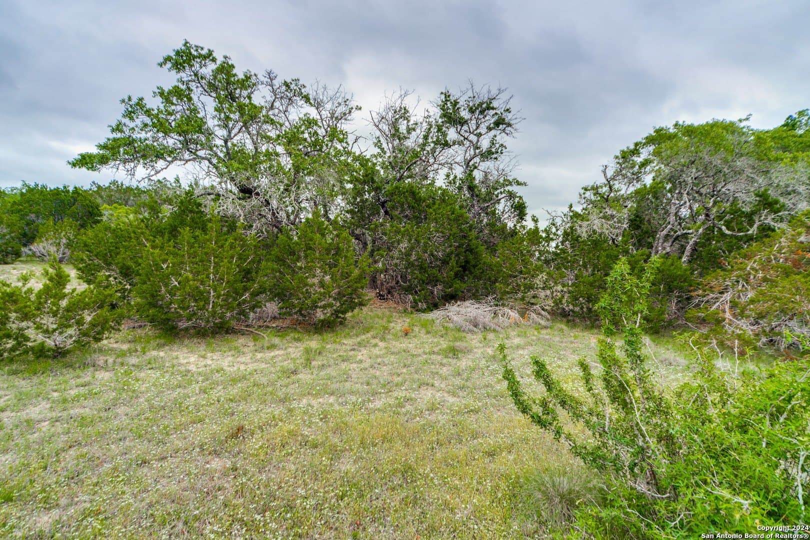 1.04 acres in Comal County - photo 8
