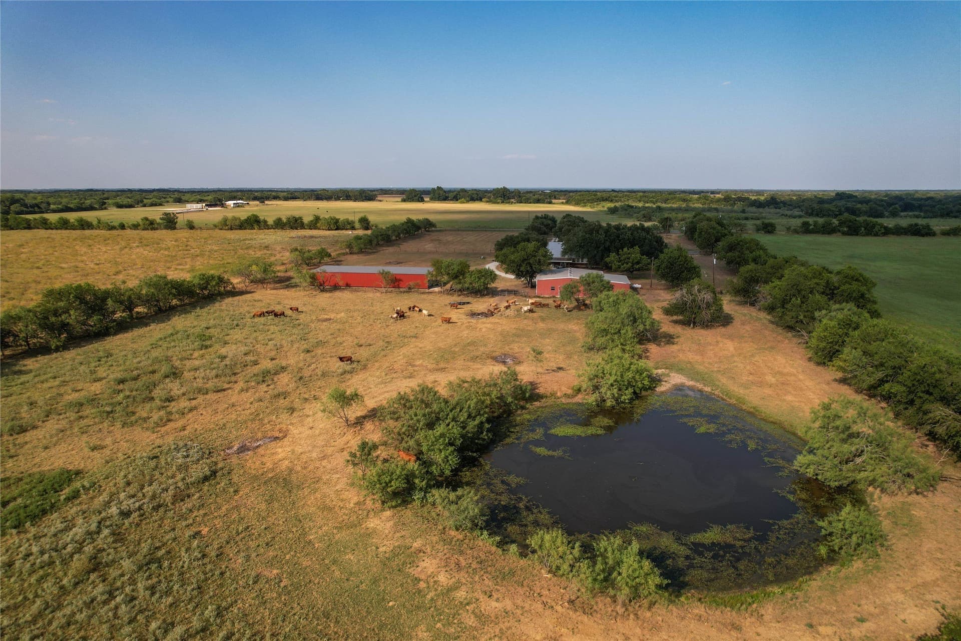 118.57 acres in Limestone County - photo 33