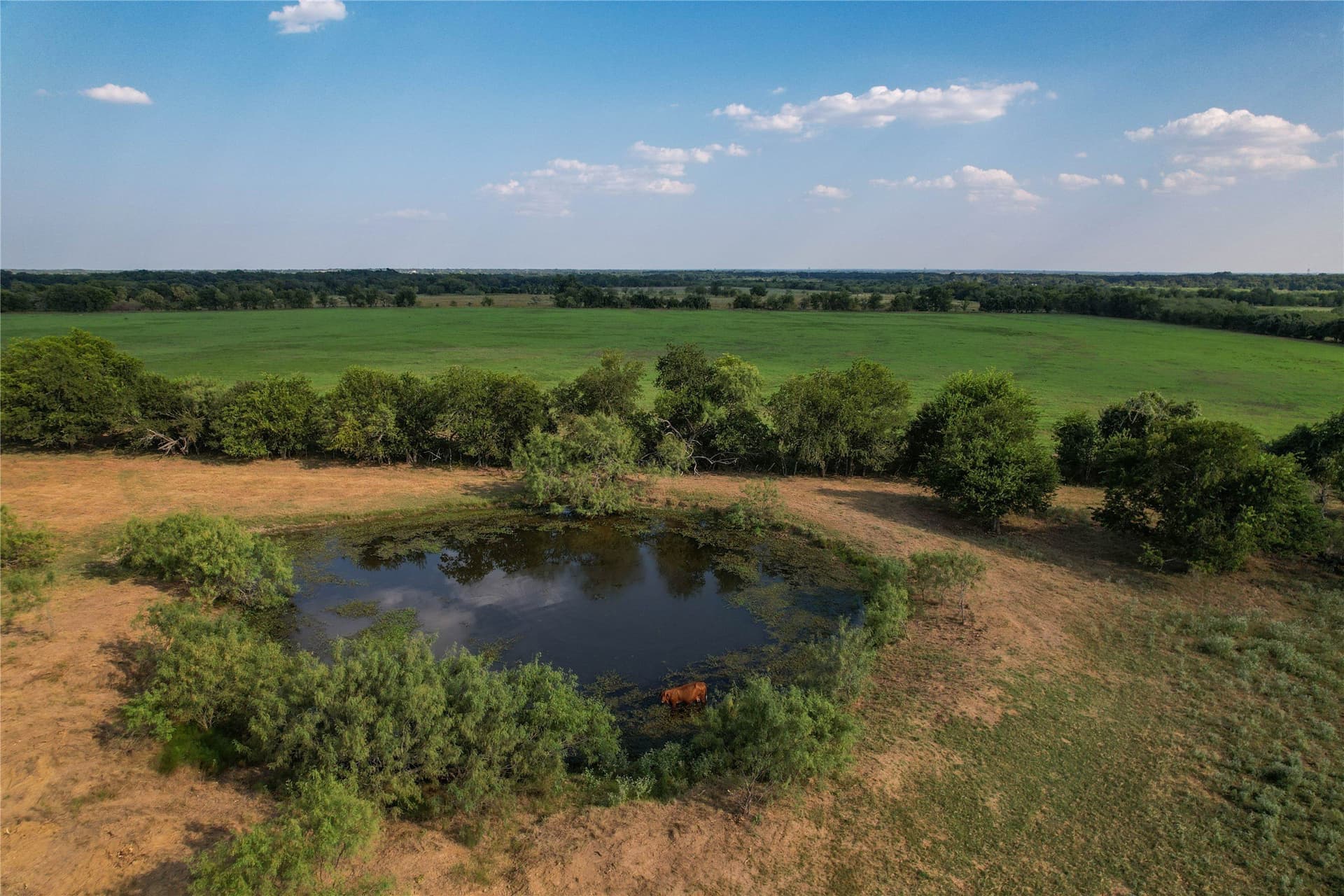 118.57 acres in Limestone County - photo 34