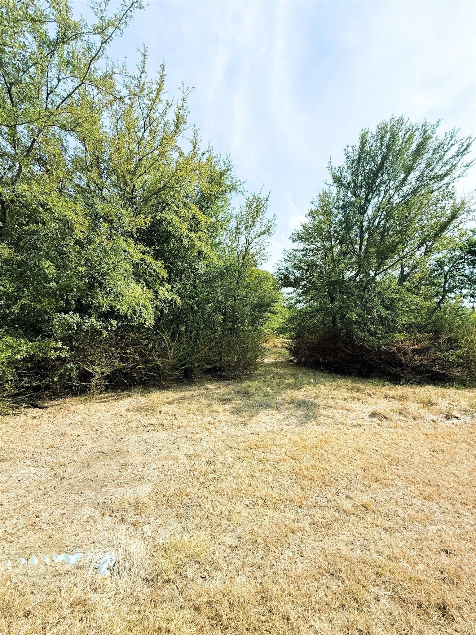 0.55 acres in Rains County - photo 2