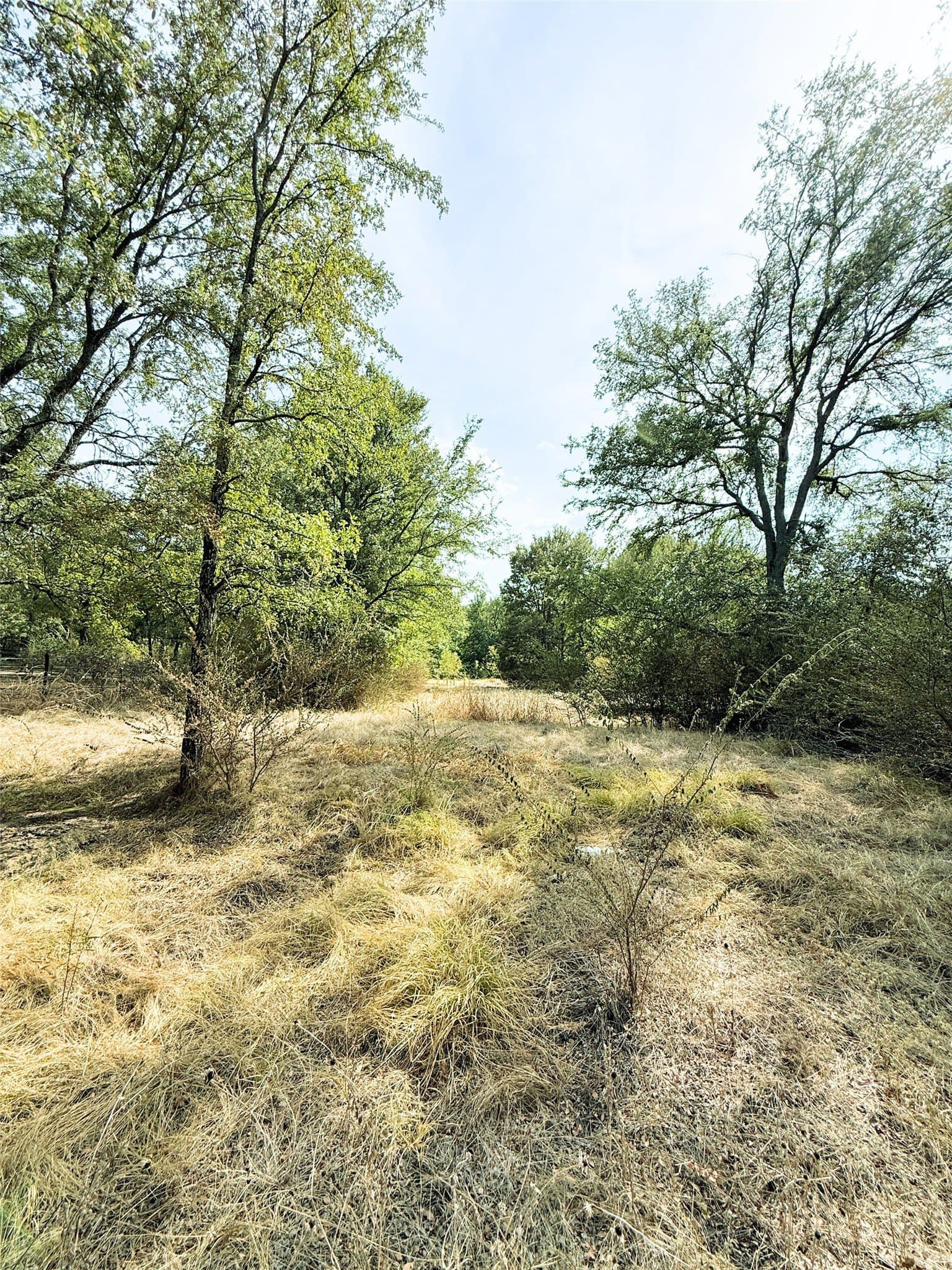 0.55 acres in Rains County - photo 5