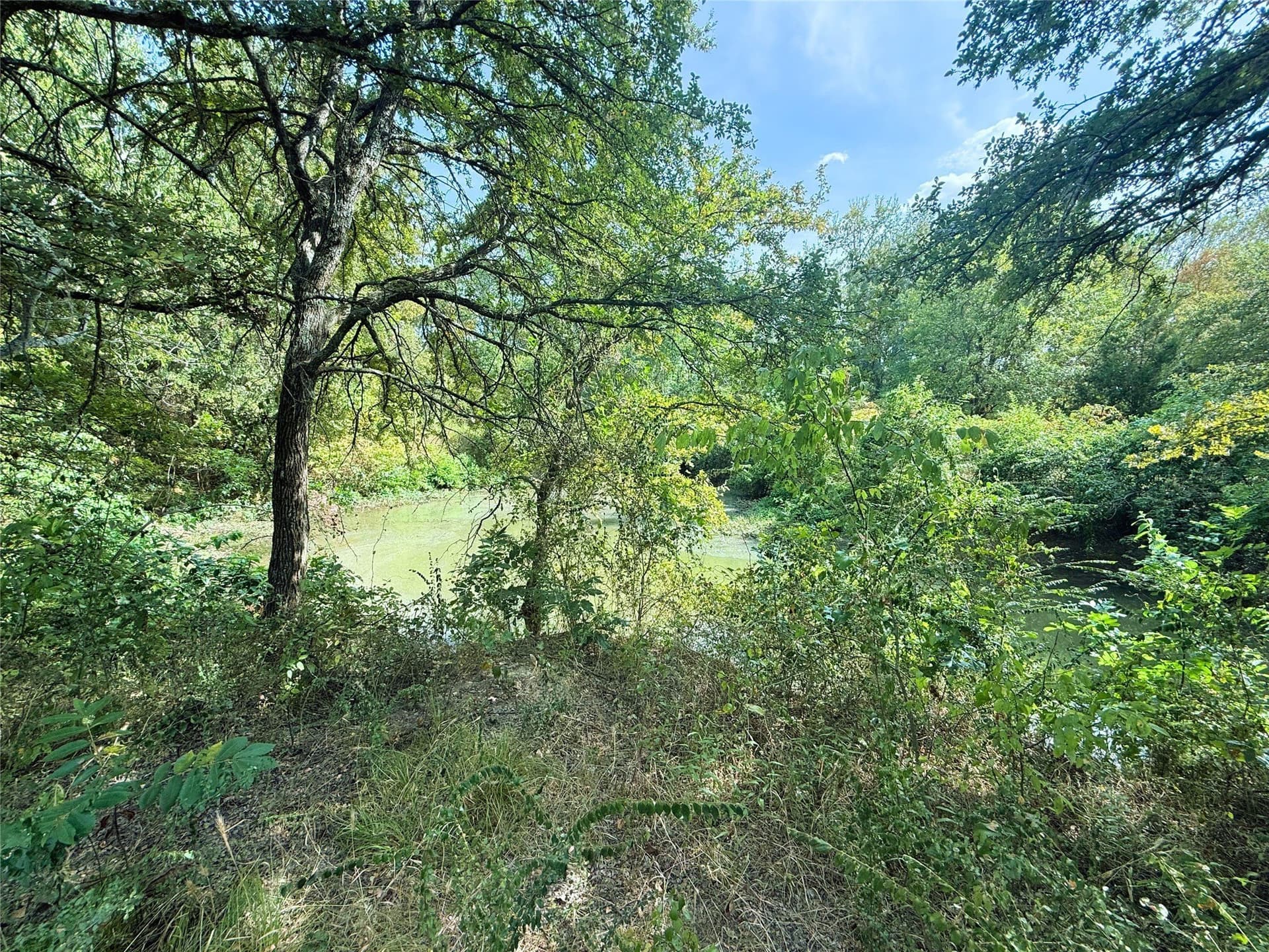 0.55 acres in Rains County - photo 10