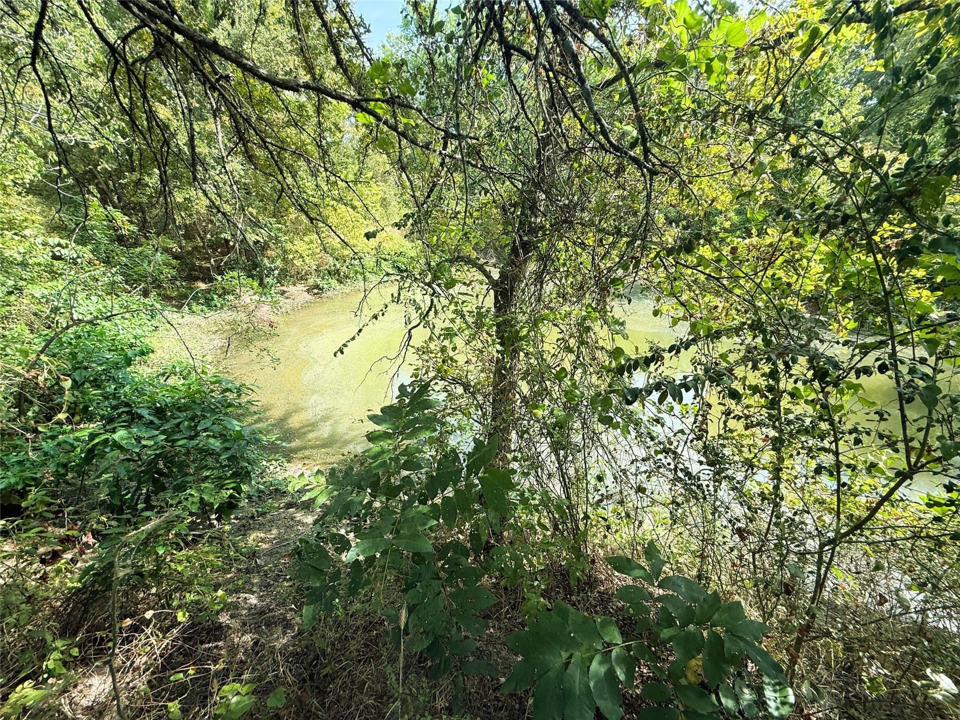 0.55 acres in Rains County - photo 9