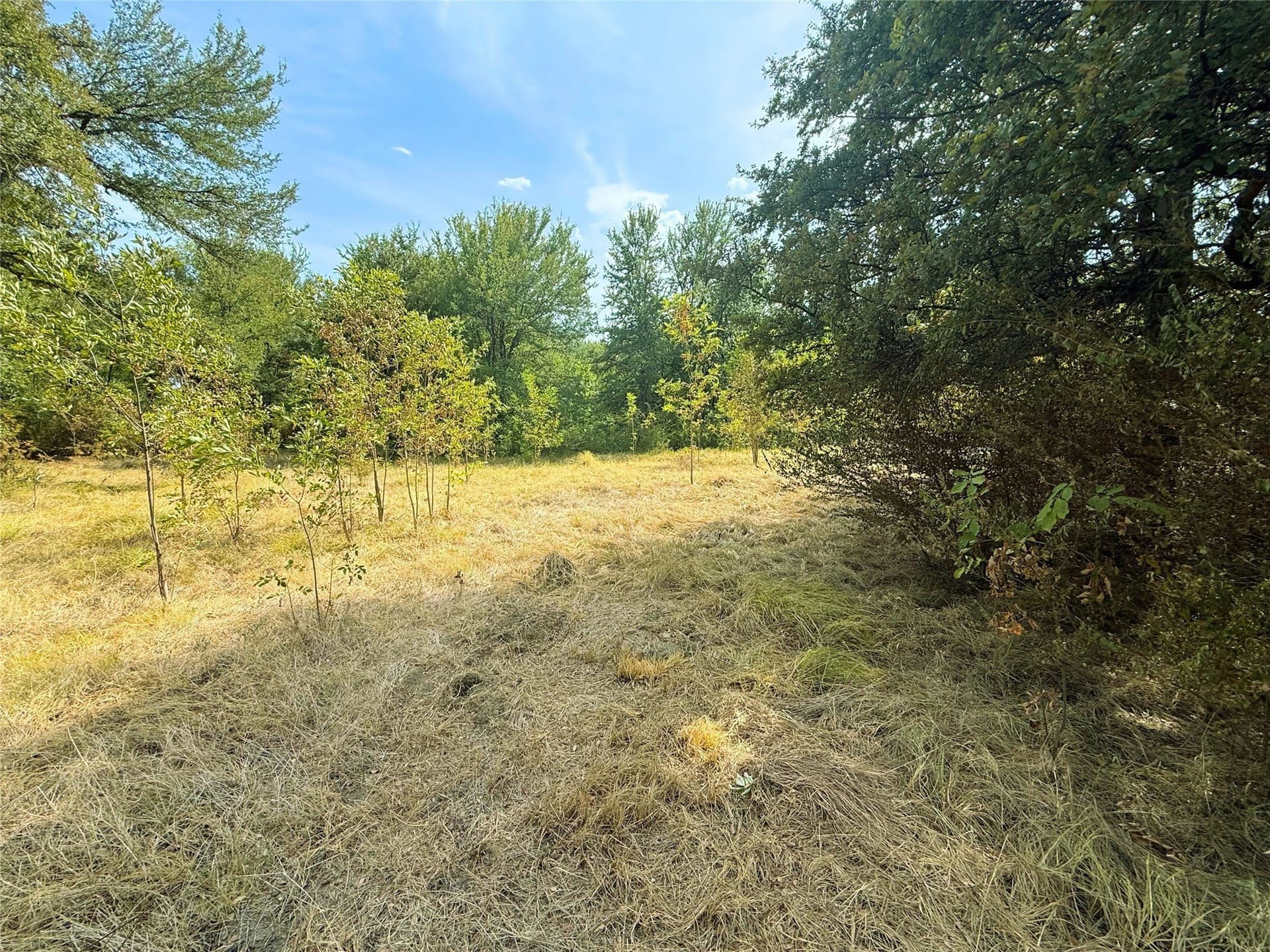 0.55 acres in Rains County - photo 7