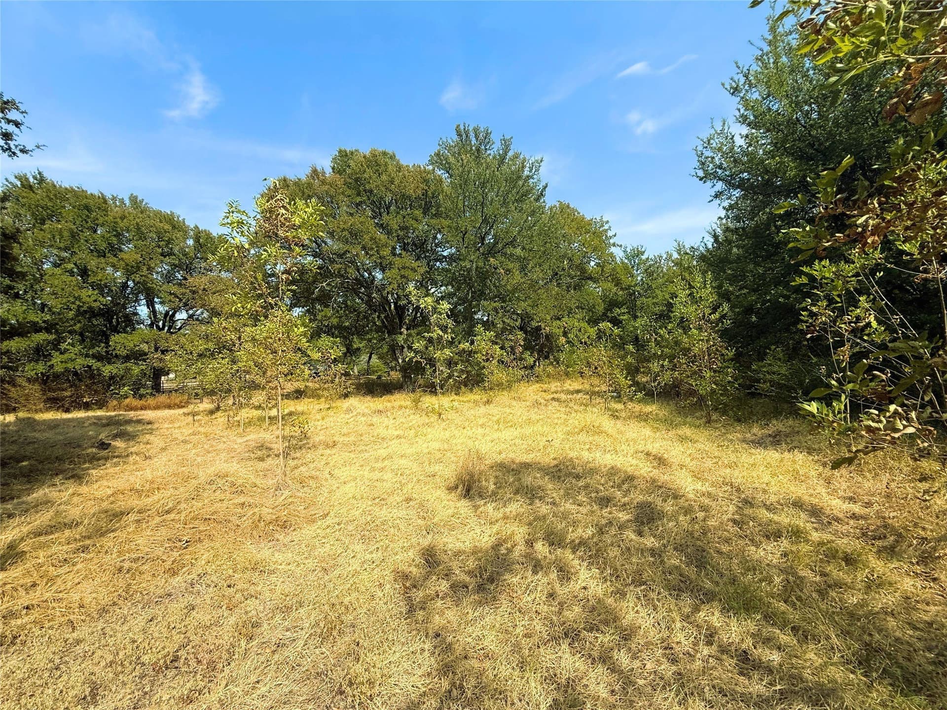 0.55 acres in Rains County - photo 6