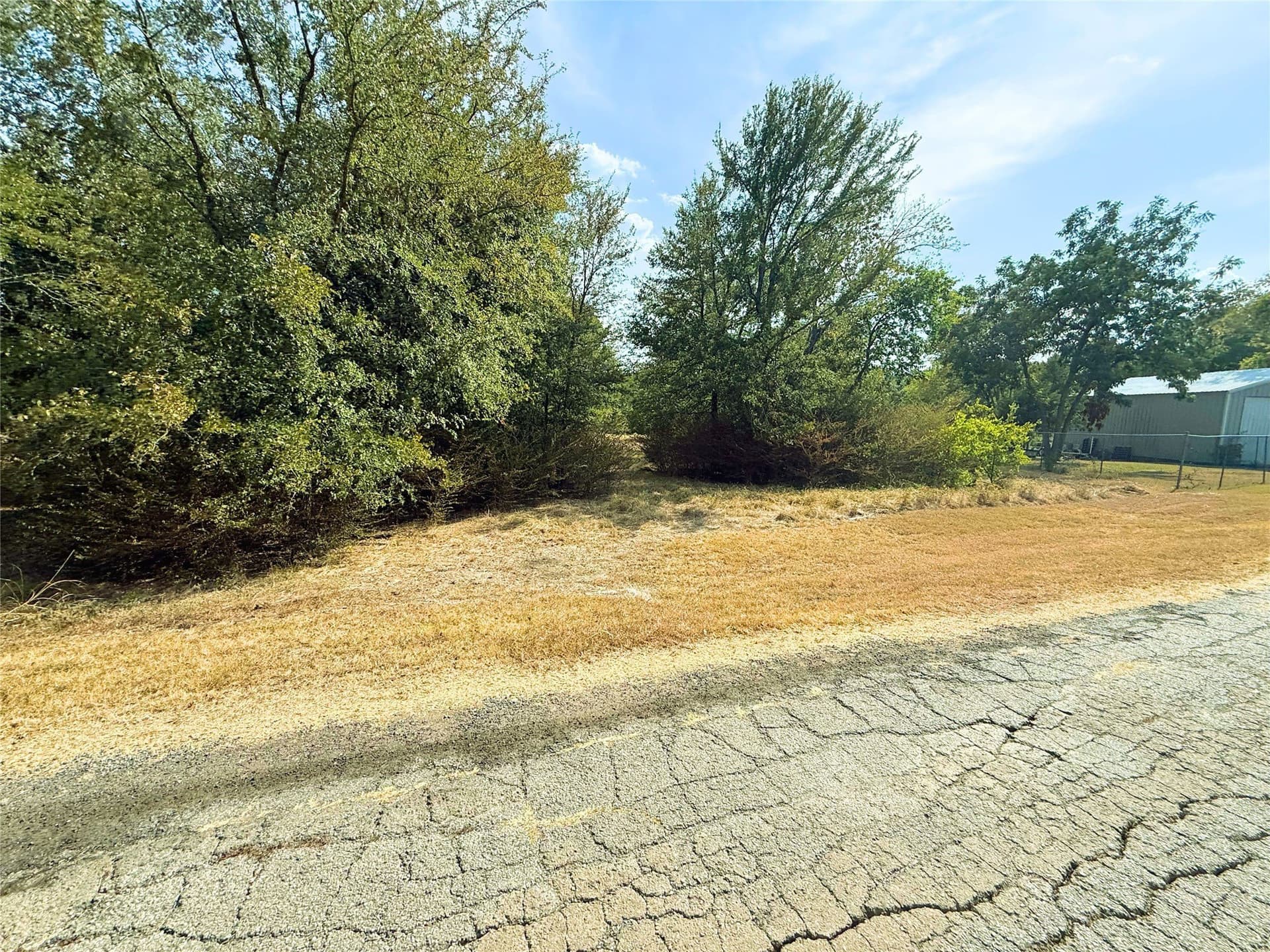 0.55 acres in Rains County - photo 3