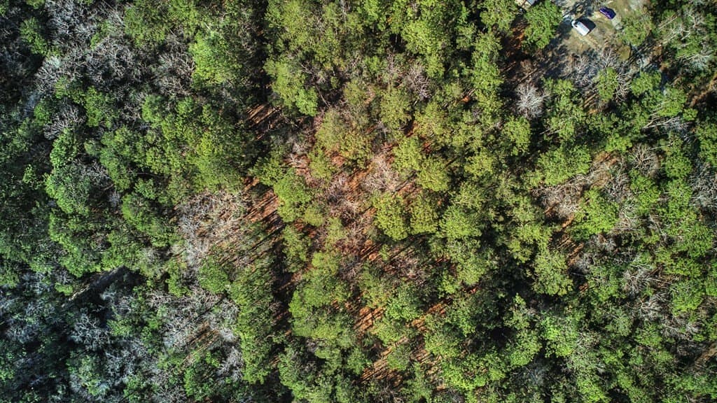0.2 acres in Texas County gallery image 4