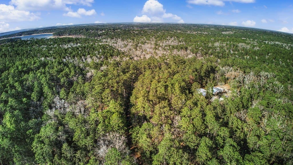 0.2 acres in Texas County gallery image 2