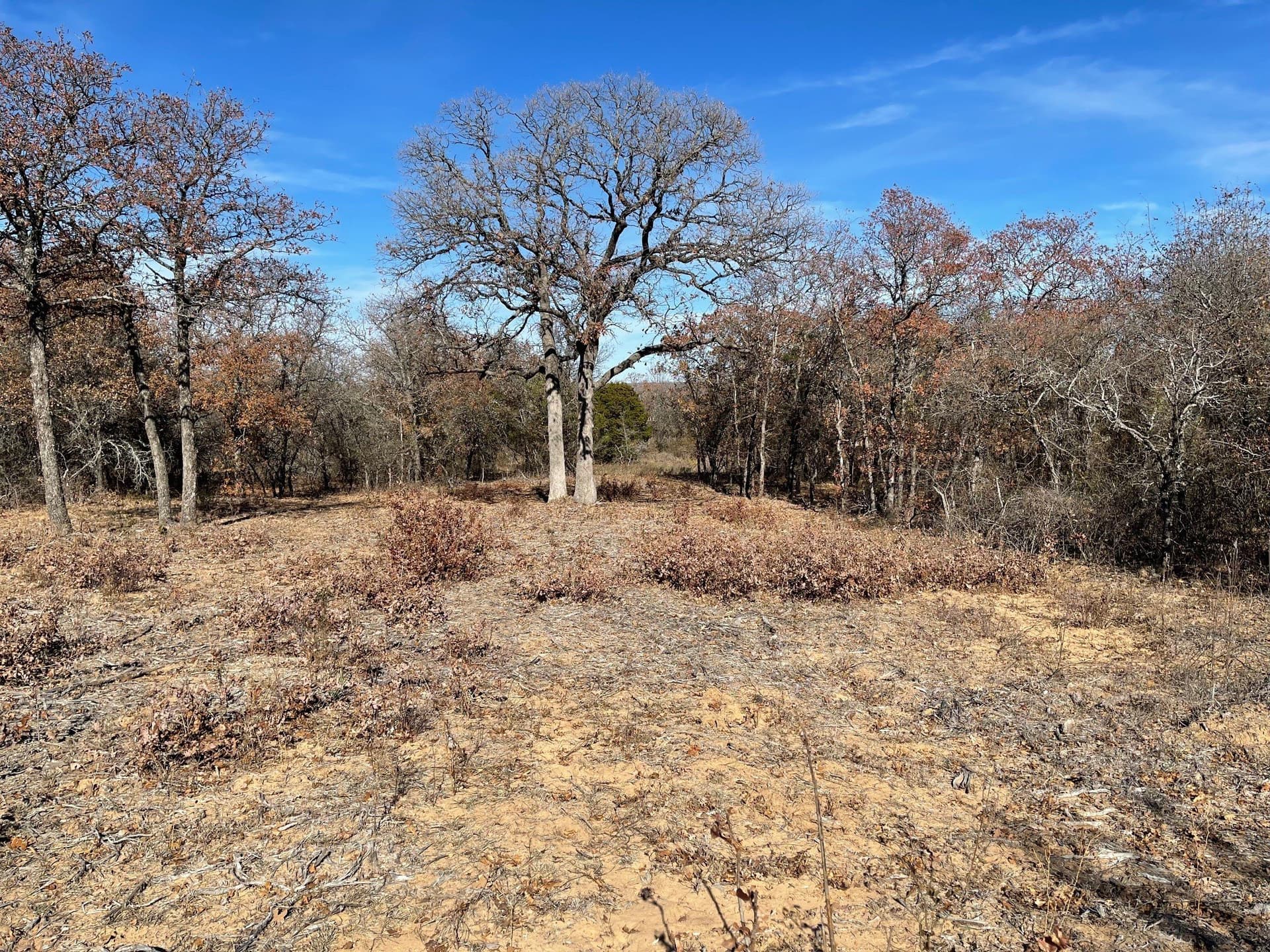 6.61 acres in Palo Pinto County - photo 6