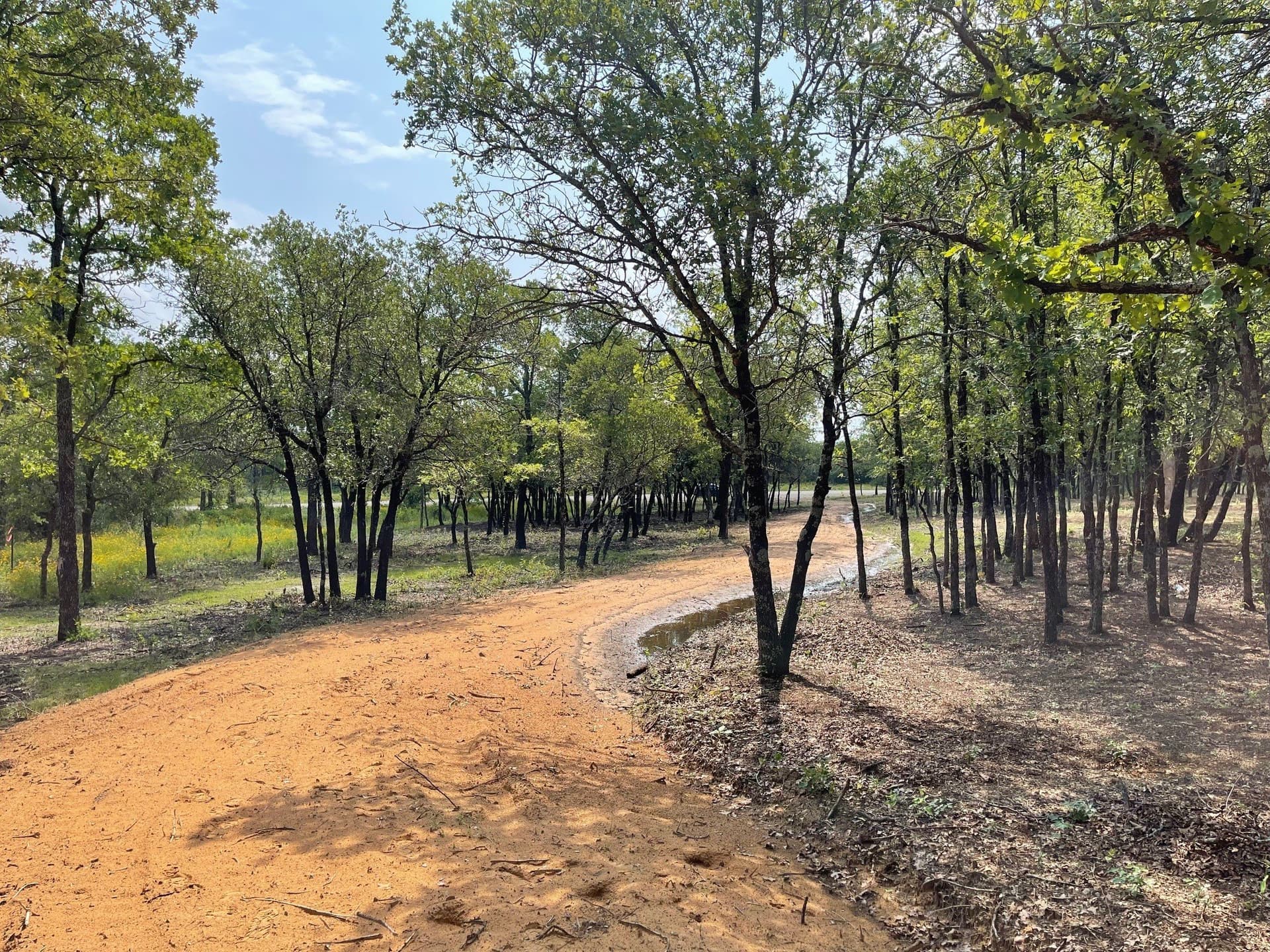 6.61 acres in Palo Pinto County - photo 12
