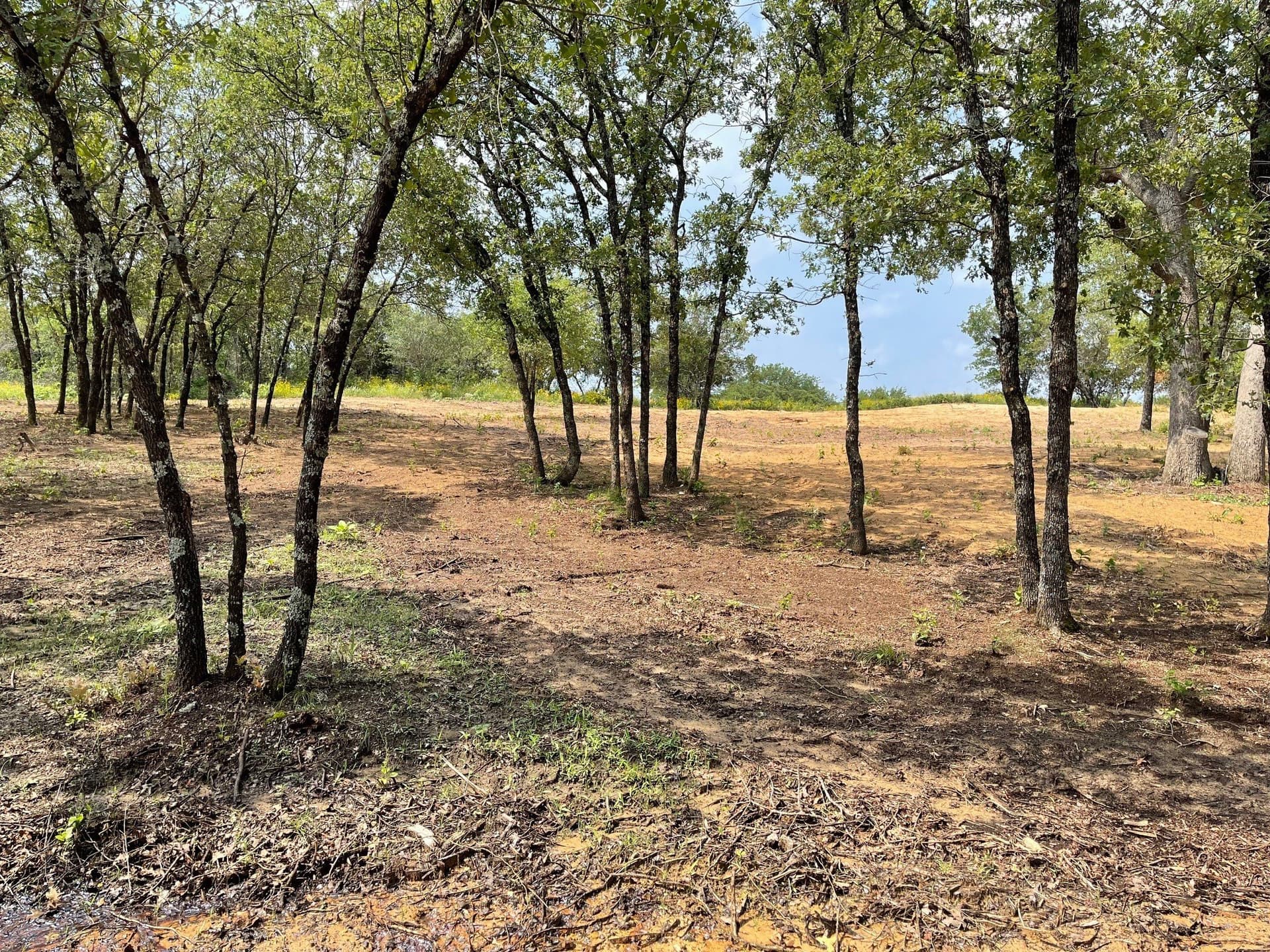 6.61 acres in Palo Pinto County - photo 8