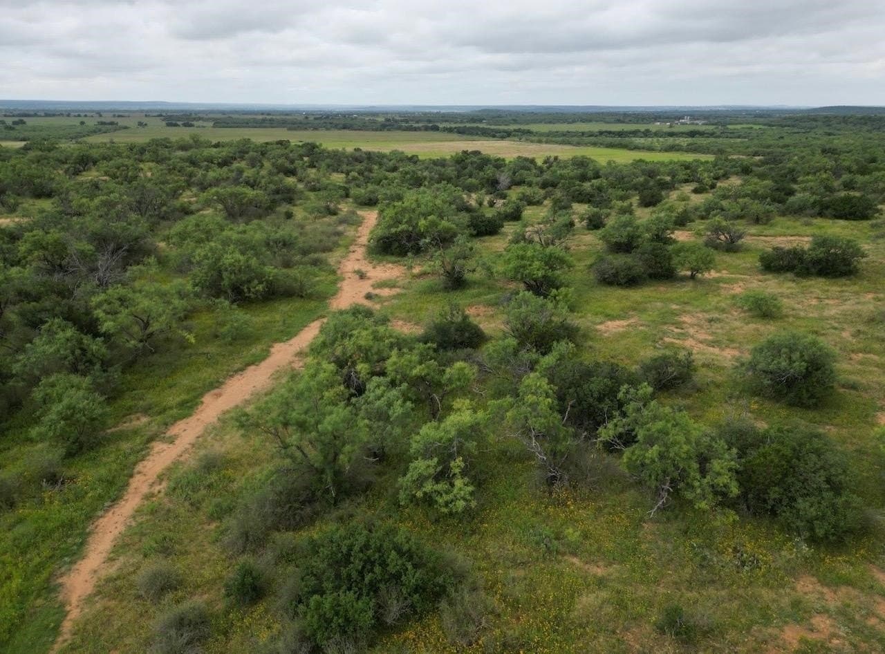 207 acres in San Saba County featured view